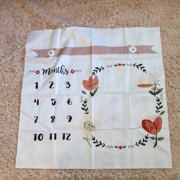 Other - NWOT Baby Girl Monthly Photo Blanket